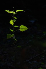 125710