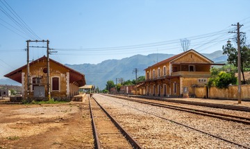 1164974