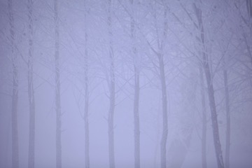 2013-02-16 090744