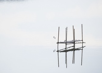 2172920