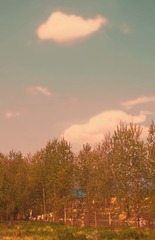 IMGP4731.jpg