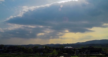 IMGP4746.jpg