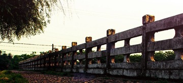 IMGP7652.jpg