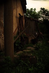 IMGP7656.jpg