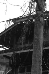 IMGP3942.JPG
