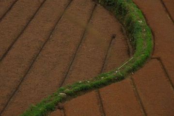 IMGP3954.JPG