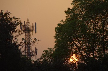 IMGP4612.JPG