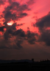 IMGP8052.jpg