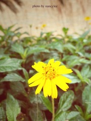 DSC00459副本.jpg