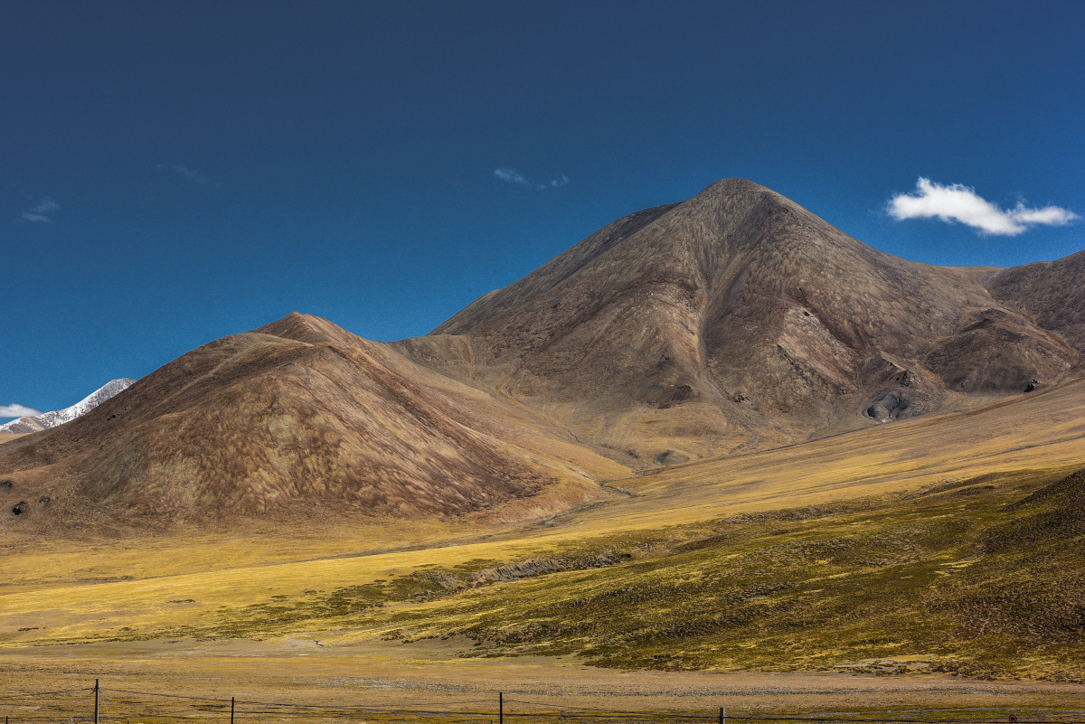 秋天的童话路见阿里
