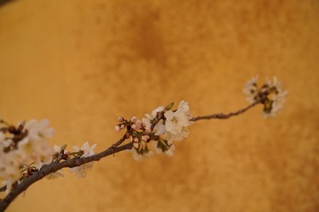 173E4FB3-EEEB-49EC-BF4D-738B536B19FC/L0/001