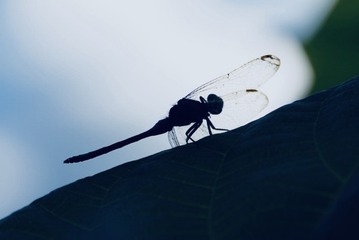 5D34B07E-3EB9-4D1D-9FFF-DF82A2FD4E3E/L0/001