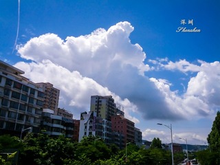 IMG_20140809_110156