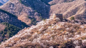 DSC03717-编辑