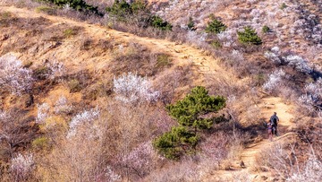 DSC03743-编辑