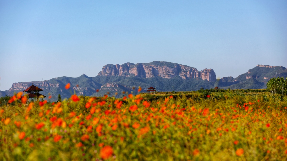 天台山拍摄于河北临城天台山花海景区