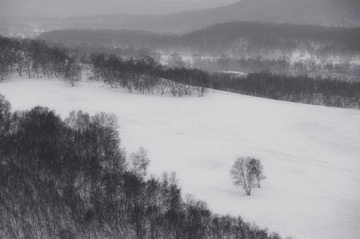 雪景