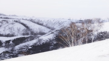 雪景