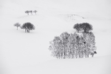 雪景
