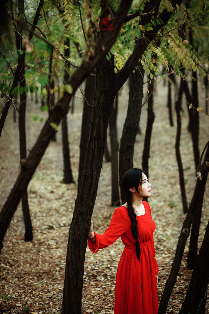 秋思- 时光の静流 - 图虫网 - 优质摄影师交流社区