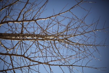 山后 002.jpg