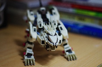 IMGP6978_1