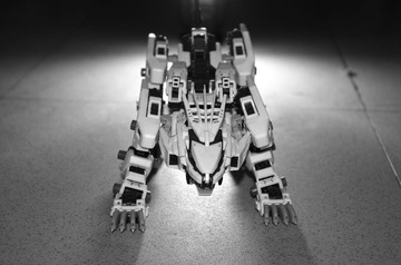IMGP6409_1