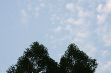 IMGP7329-2