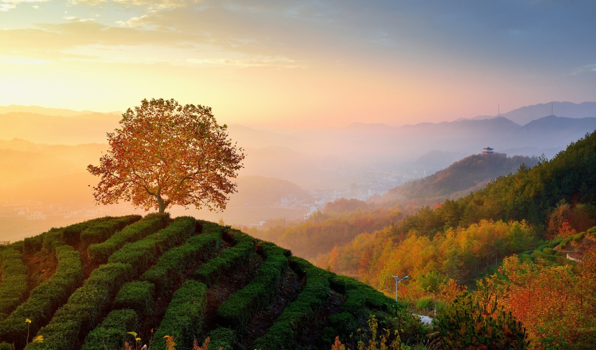 画里乡村--精准扶贫下的美好村广兴老屋的脱变