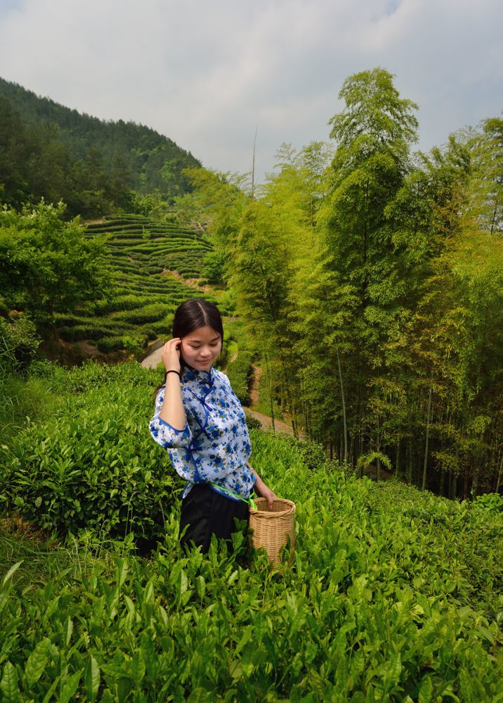 采茶妹的心思谁能猜