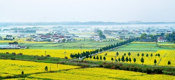 画里乡村