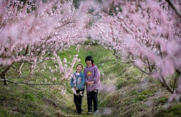 两朵乡野小花