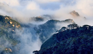 DSC_3836m