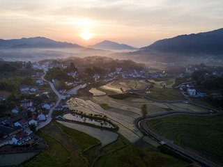 田园