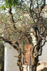 IMG_3184.jpg