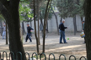 IMG_2971.jpg