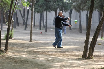 IMG_2973.jpg