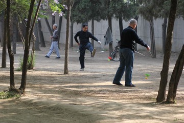 IMG_2974.jpg