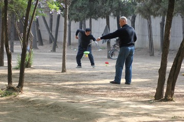 IMG_2975.jpg