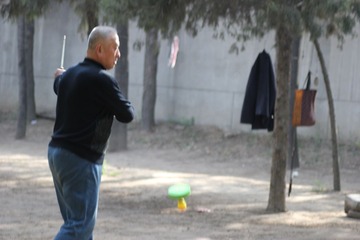 IMG_2986.jpg