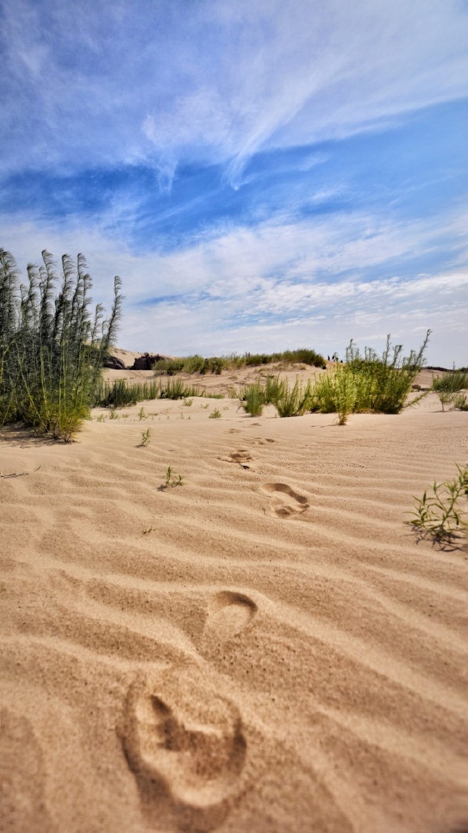 1/116我要上开屏荒地干旱干沙漠沙脚印无人区还没有人打赏,快来当第一