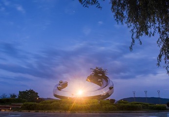 903877