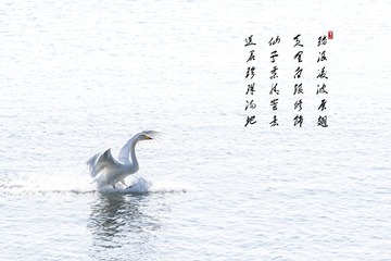 405166