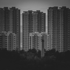 1049858