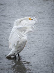 365756