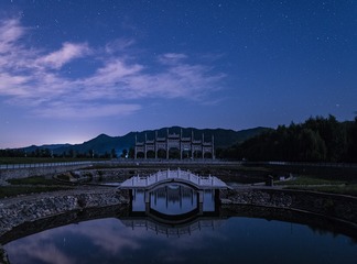 116019