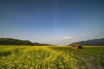 412483