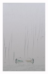 120630
