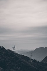 1121749