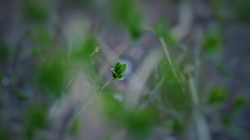 7C188E7E-1650-40C5-B7B8-3B5220967AA6/L0/001
